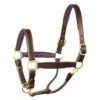 Perri's 1" Padded Leather Halter - Havana/Brown