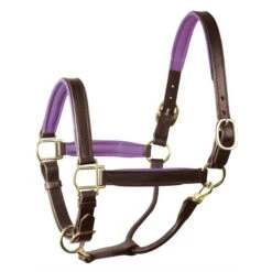 Perri's 1" Padded Leather Halter - Havana/Purple