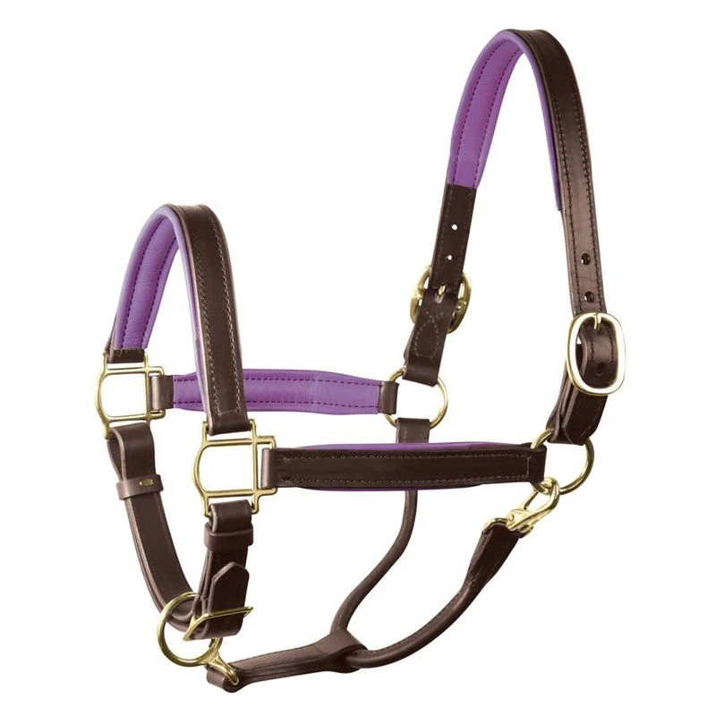 Perri's 1" Padded Leather Halter - Havana/Purple 1 Perri's 1" Padded Leather Halter - Havana/Purple