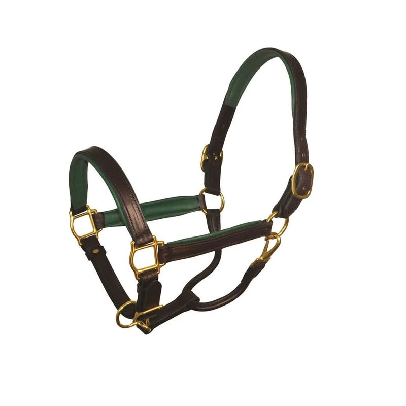 Perri's 1" Padded Leather Halter - Havana/Hunter Green 1 Perri's 1" Padded Leather Halter - Havana/Hunter Green