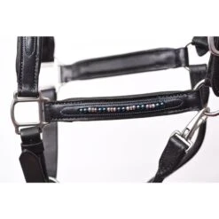 Perri's Blue Pearl Bling Padded Leather Halter - Black -Tackof The Day Shop 500384 800 800