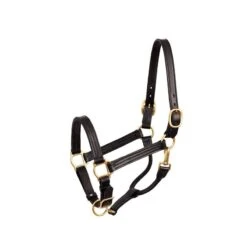 Perri's 1" Leather Show Halter - Black/Brass