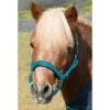 Shires Mini Topaz Halter - Blue