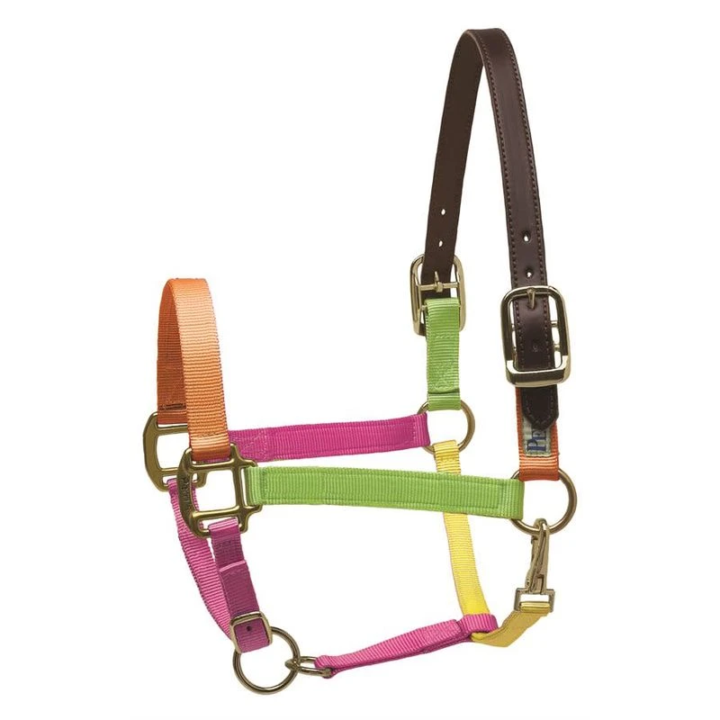 Perri's Nylon Safety Halter - Multi Neon 1 Perri's Nylon Safety Halter - Multi Neon