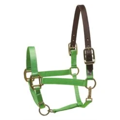 Perri's Nylon Safety Halter - Lime