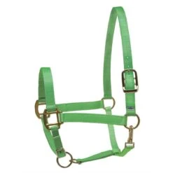 Perri's Nylon SuperHalter - Lime