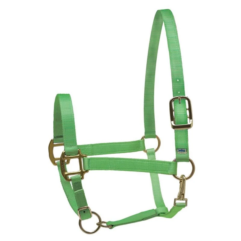 Perri's Nylon SuperHalter - Lime 1 Perri's Nylon SuperHalter - Lime