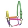 Perri's Nylon SuperHalter - Multi Neon