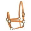 Perri's Nylon SuperHalter - Orange
