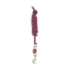 Perri's 5/8" Nylon Lead W/Snap - Burgundy