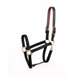 Perri's Economy Nylon Safety Halter - Black