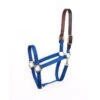 Perri's Economy Nylon Safety Halter - Royal Blue