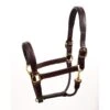 Perri's Fancy Stitched Padded Leather Halter - Havana/Havana