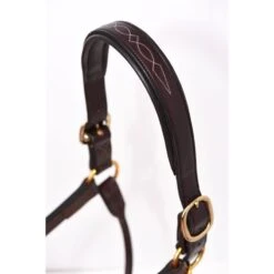 Perri's Fancy Stitched Padded Leather Halter - Havana/Havana -Tackof The Day Shop 503174 800 800