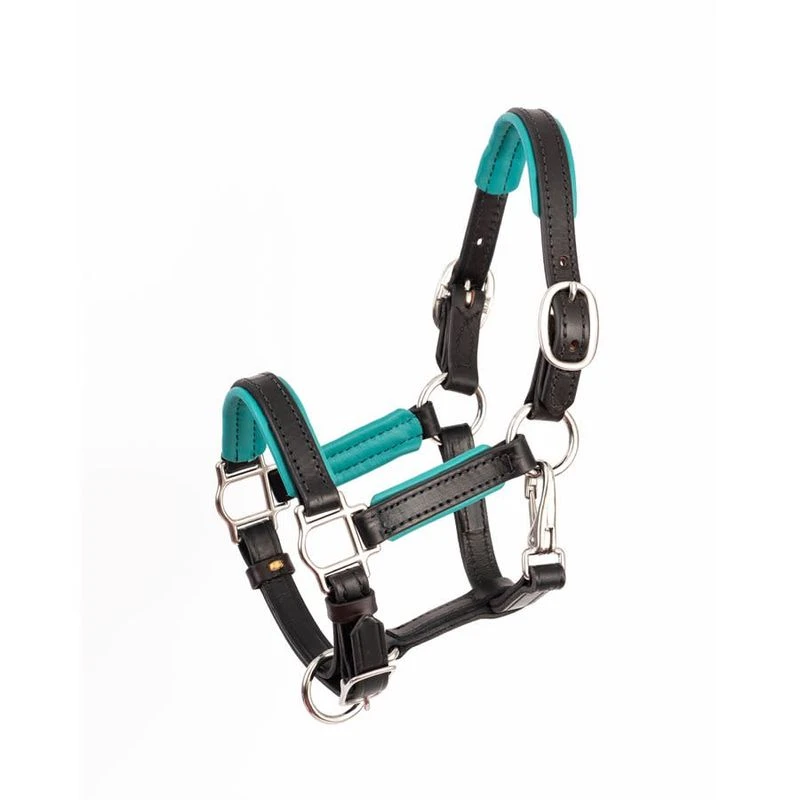 Perri's 3/4" Mini/Pony Padded Leather Halter - Black/Turquoise 1 Perri's 3/4" Mini/Pony Padded Leather Halter - Black/Turquoise