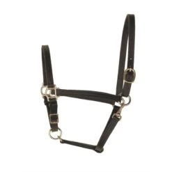 Perri's 3/4" Leather Turnout Halter - Black