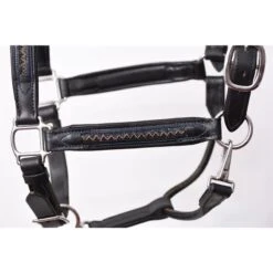 Perri's Chevron Bling Padded Leather Halter - Black -Tackof The Day Shop 503811 800 800