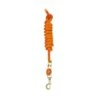 Perri's 5/8" Nylon Lead W/Snap - Orange