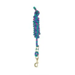 Perri's 5/8" Nylon Lead W/Snap - Purple/Raspberry/Teal
