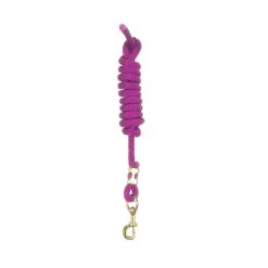 Perri's 5/8" Nylon Lead W/Snap - Raspberry