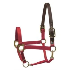 Perri's Nylon Safety Halter - Red