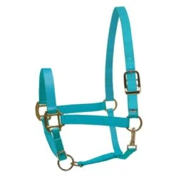 Perri's Nylon SuperHalter - Turquoise