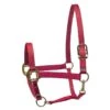 Perri's Nylon SuperHalter - Red