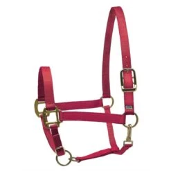 Perri's Nylon SuperHalter - Red
