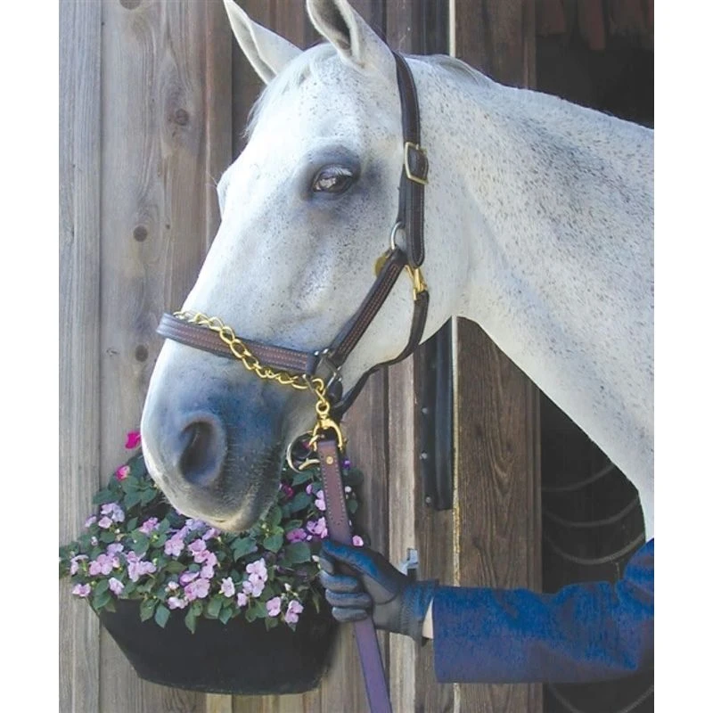 Nunn Finer Leather Shank - Havana 1 Nunn Finer Leather Shank - Havana