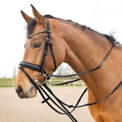 Horze Sparta Leather Draw Reins - Black -Tackof The Day Shop 505390 800 800