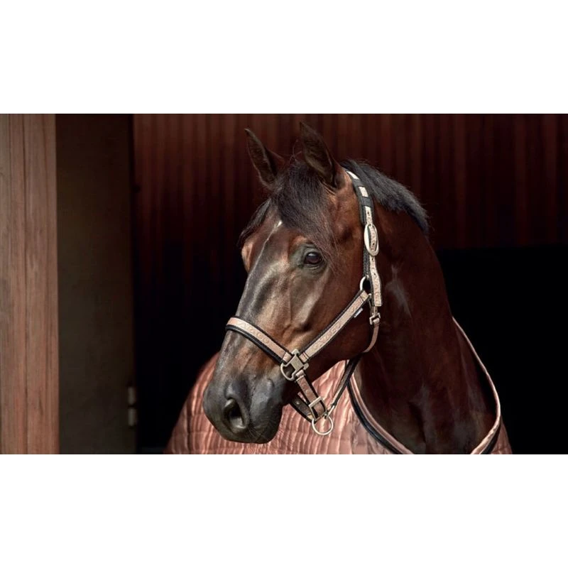 Catago Elegant Halter - Folkstone Grey 2 Catago Elegant Halter - Folkstone Grey - Image 2