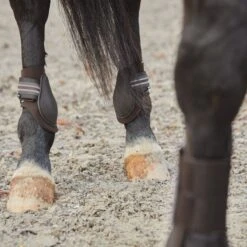 Horze Adepto Fetlock Boots - Dark Brown -Tackof The Day Shop 532784 800 800