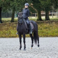 Horze Adepto Fetlock Boots - Dark Brown -Tackof The Day Shop 532785 800 800