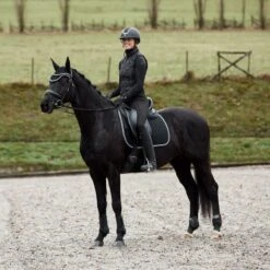 Horze Adepto Tendon Boots - Black 9 Horze Adepto Tendon Boots - Black -Tackof The Day Shop 533341 800 800