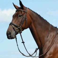 Collegiate Syntovia+ Plain Flat Running Martingale - Brown