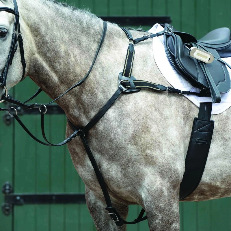 Collegiate Essential 5-Point Breastplate - Black 1 Collegiate Essential 5-Point Breastplate - Black