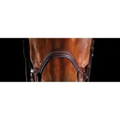 Collegiate Comfitec Fancy Stitch Bridle - Brown -Tackof The Day Shop 540562 800 800