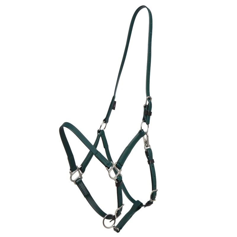 Zilco Deluxe Endurance Bridle/Halter Cavesson Only - Hunter Green 1 Zilco Deluxe Endurance Bridle/Halter Cavesson Only - Hunter Green