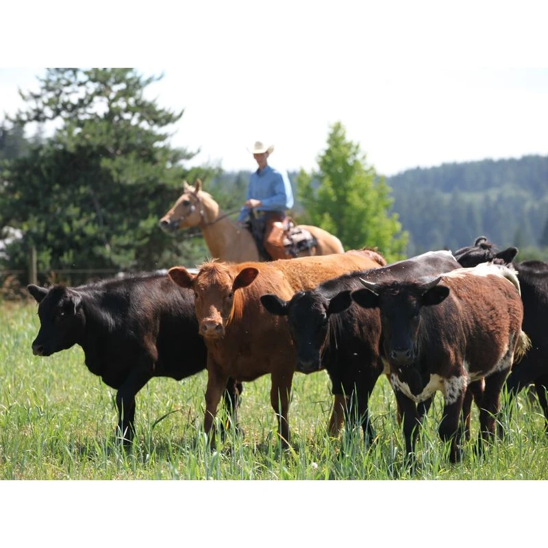 Toklat RanchBoss Western Fleece Cinch - Brown 3 Toklat RanchBoss Western Fleece Cinch - Brown - Image 3