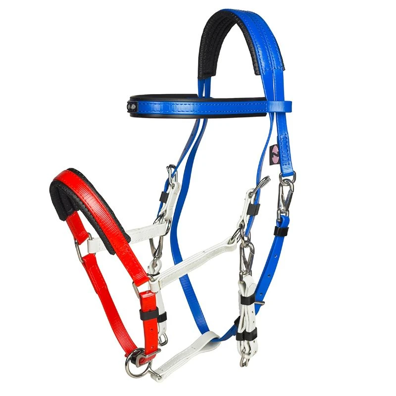 Zilco Marathon Endurance Bridle - Red/White/Blue 1 Zilco Marathon Endurance Bridle - Red/White/Blue