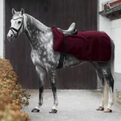 Horze Kiel Fleece Riding Blanket - Dark Red 6 Horze Kiel Fleece Riding Blanket - Dark Red -Tackof The Day Shop 552306 800 800