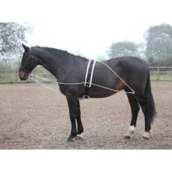 Shires Lunging Aid - Black
