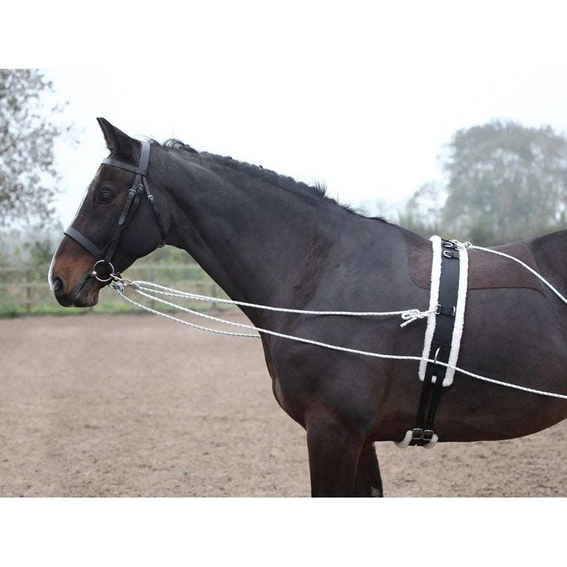 Shires Lunging Aid - Black 3 Shires Lunging Aid - Black - Image 3