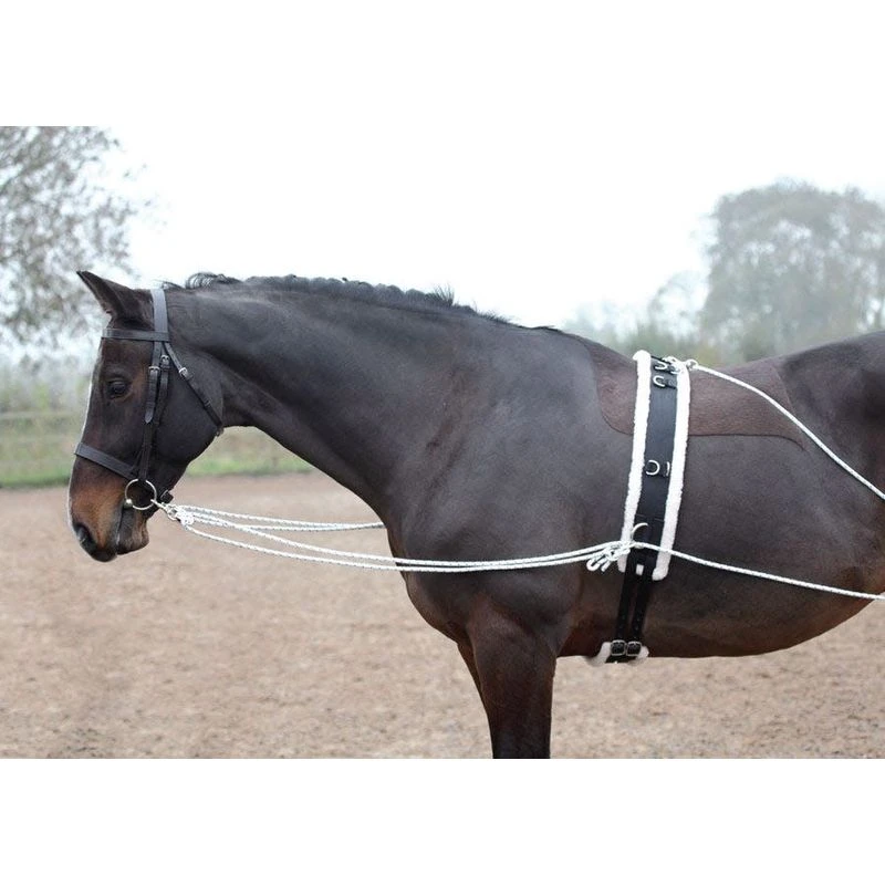 Shires Lunging Aid - Black 4 Shires Lunging Aid - Black - Image 4