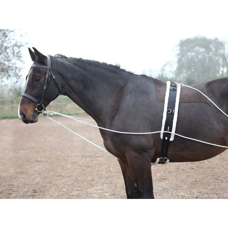 Shires Lunging Aid - Black 5 Shires Lunging Aid - Black - Image 5