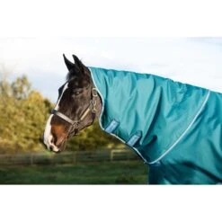 Amigo Bravo 12 Plus Turnout 400g - Storm Green/Turquoise/Aqua -Tackof The Day Shop 555955 800 800