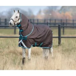 Amigo Bravo 12 Pony Plus Turnout 0g - Excalibur/Aqua/Turquoise