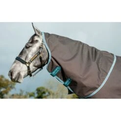 Amigo Hood 0g - Excalibur/Aqua/Turquoise