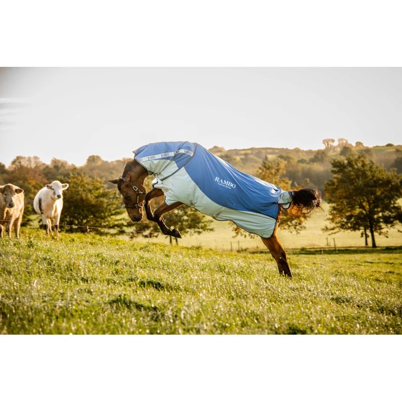 Rambo Autumn Series - Navy/Grey 7 Rambo Autumn Series - Navy/Grey - Image 7