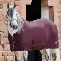 Horze Monster Pony Fleece Rug - Fig Purple -Tackof The Day Shop 583335 800 800